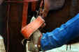 horse safety stirrup breaks away at 45 degree forward or 72 degree backward to allow rider to be freed from horse