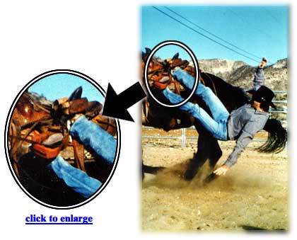 When a rider falls from the horse with a horse saftey stirrup from BreakAway Stirrups the rider falls free to the ground